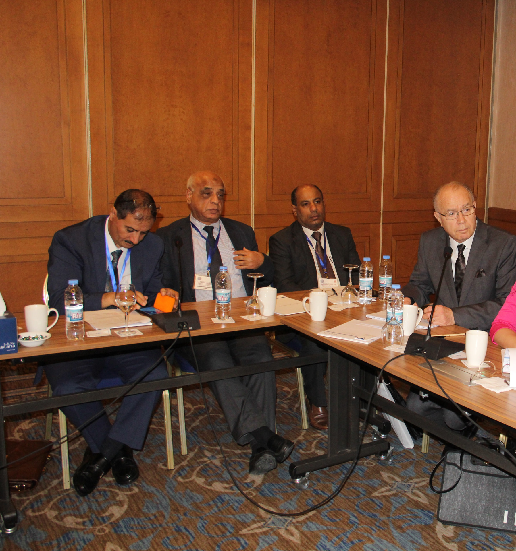 Conference panel session