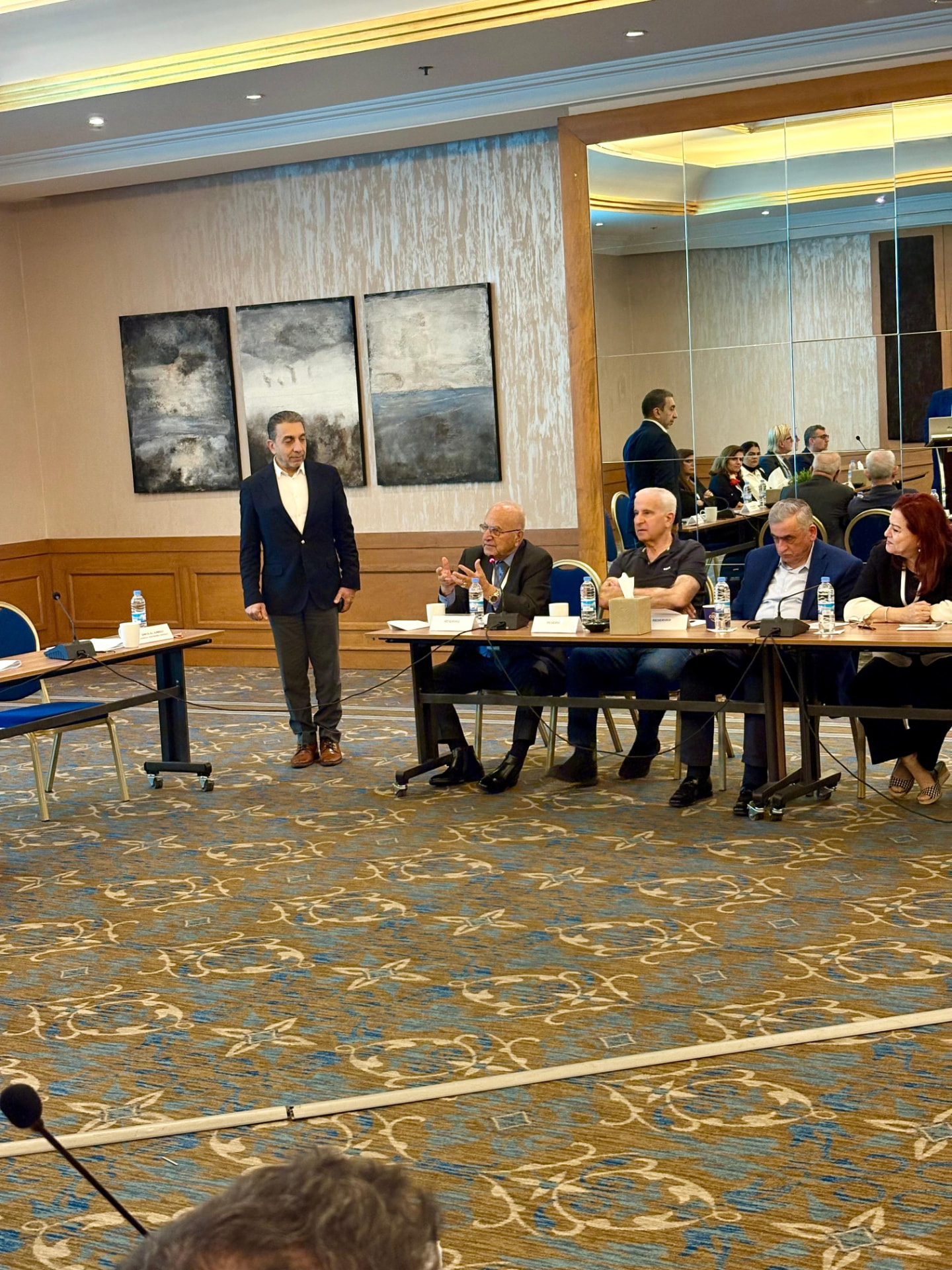 Delegates contributing to discussion