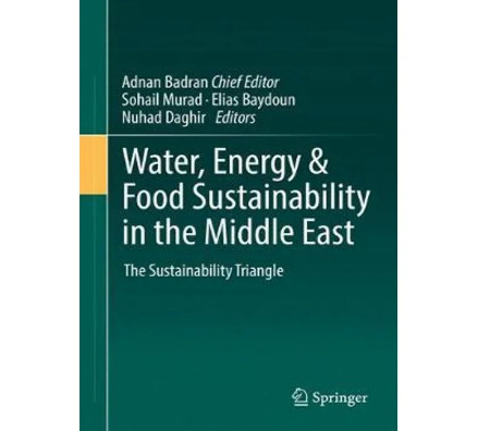 Water and Energy and Food Sustainability in the Middle East: The Sustainability Triangle book cover